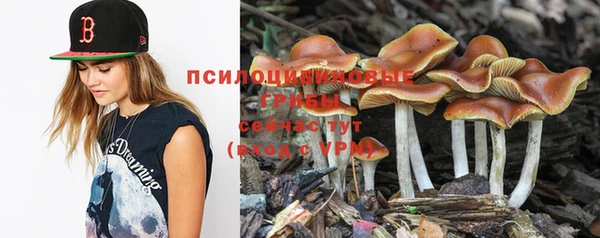 винт Вязники
