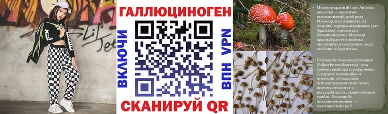 Псилоцибиновые грибы Cubensis  mega как войти  Далматово 